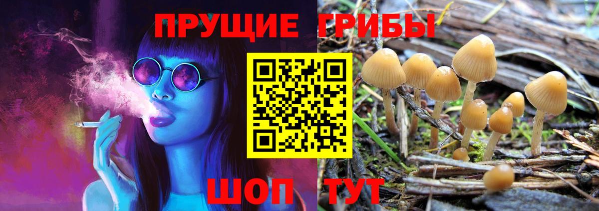 Нарткала  Псилоцибиновые грибы ЛСД  Вход с VPN 
